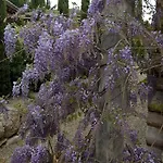 马拉莫尔小木屋酒店 Chazey-sur-Ain