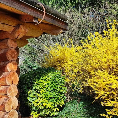 Les Chalets De Maramour Chazey-sur-Ain