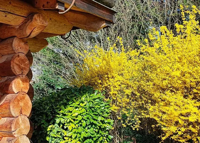 Les Chalets De Maramour Chazey-sur-Ain